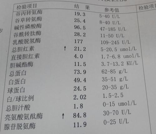 乙肝研究新突破，治疗与预防的最新进展揭秘